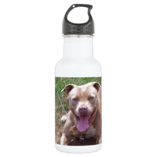 Pit Bull 532 Ml Water Bottle
