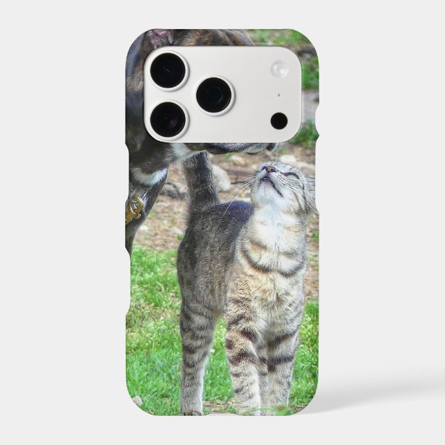 Pit Bull and Cat (Back)