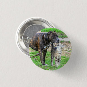 Pit Bull and Cat 1 Inch Round Button