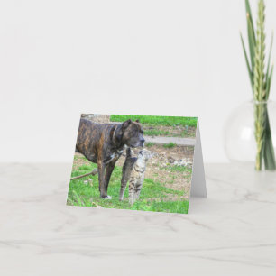 Pit Bull and Cat Card