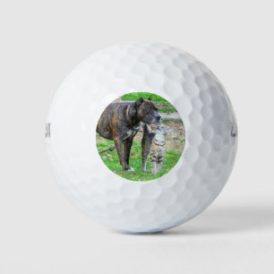 Pit Bull and Cat Golf Balls