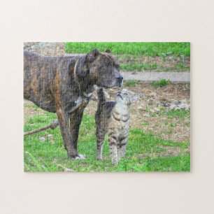 Pit Bull and Cat Jigsaw Puzzle