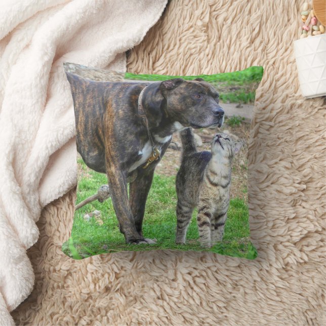 Pit Bull and Cat Throw Pillow (Blanket)