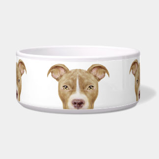 Pit bull brown ceramic dog feeding