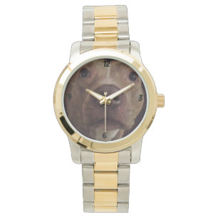 PIT BULL CHIEN MONTRE