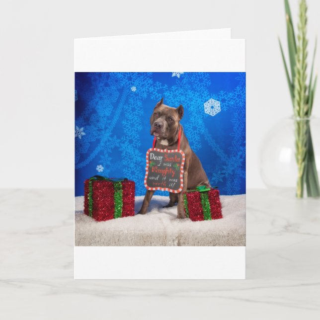 Pit-Bull Christmas Holiday Card (Front)