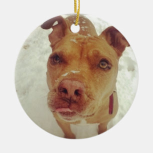 Pit Bull Christmas Ornament