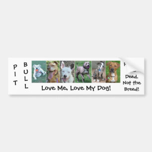 Pit Bull - Deed Not Breed Bumper Sticker