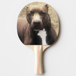 Pit Bull Dog Custom Pet Photo Ping Pong Paddle