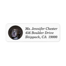 Pit-bull Dog Custom Return Address