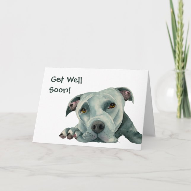Pit Bull Dog | Get Well Soon Card (Front)
