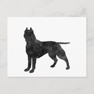 Pit Bull Dog Grunge Silhouette Postcard