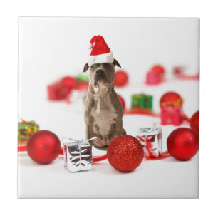 Pit Bull Dog with Gift box and Christmas Ornaments Tile