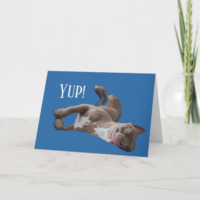 Pit Bull Funny Card (Front)