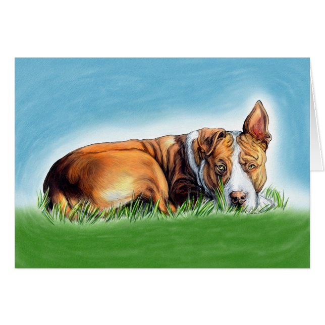 Pit Bull Hears You (Front Horizontal)