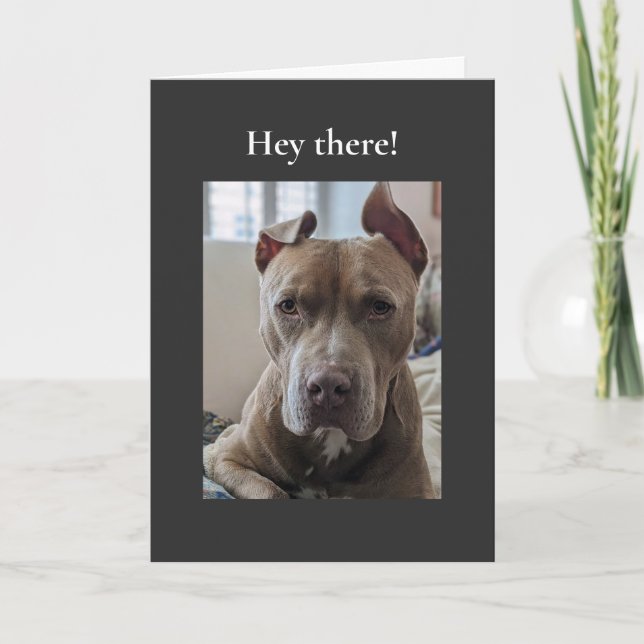 Pit Bull Hey There Card (Front)