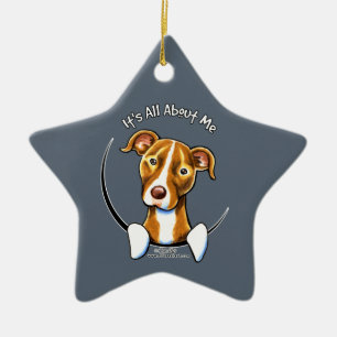 Pit Bull :: It's All About Me Ceramic Ornament