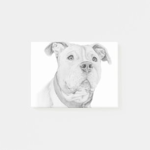 Pit Bull, Misunderstood Post-it Notes