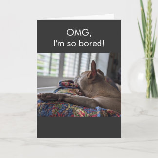 Pit Bull OMG I'm so bored Card