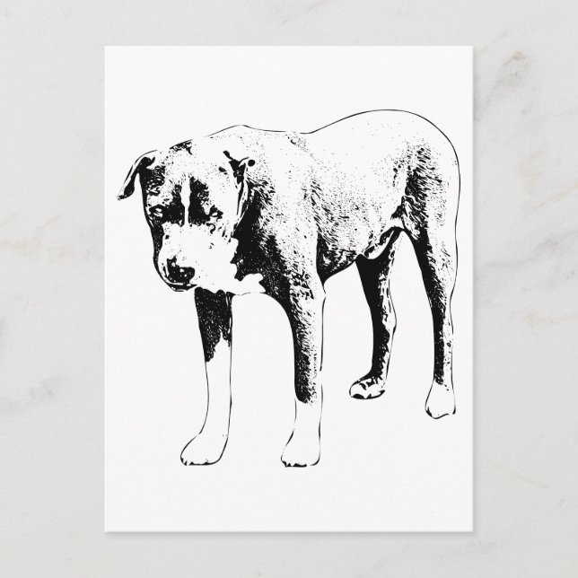 Pit Bull Post, Snow-Day Hello Postcard (Front)