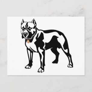 Pit Bull Puppy Dog Blank Postcard