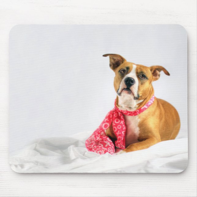Pit Bull Puppy Love in Pink XOXO Mouse Pad (Front)