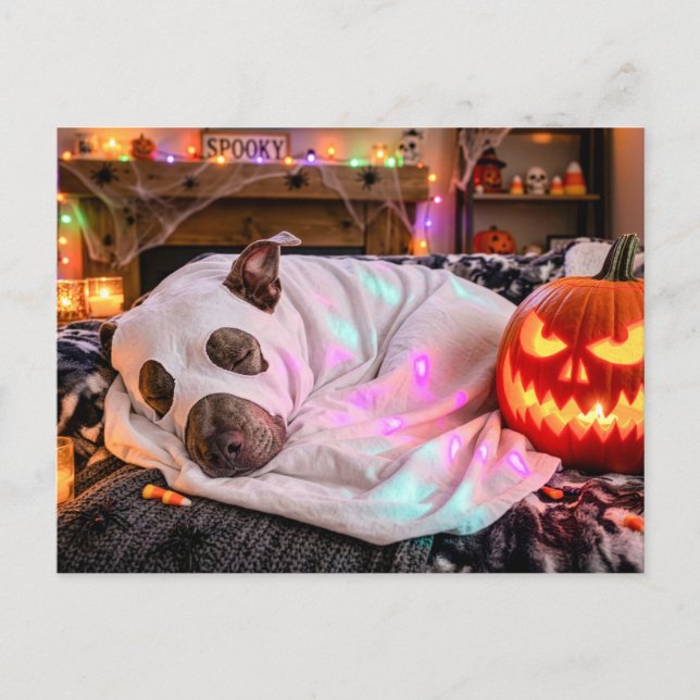 Pit Bull Sleeping in Ghost Costume Halloween Postcard (Front)