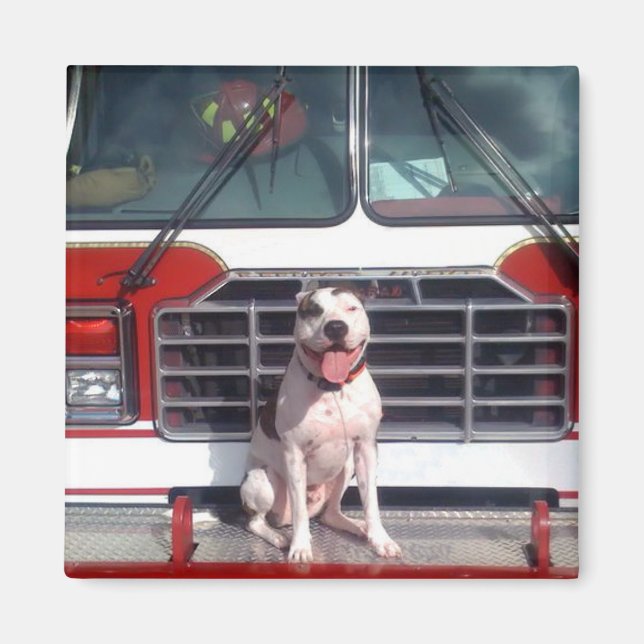 Pit Bull T-Bone Fire House Dog Magnet (Front)