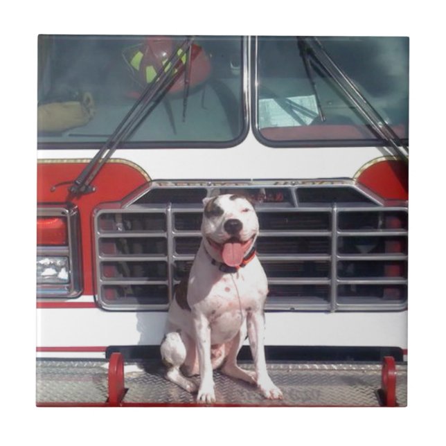 Pit Bull T-Bone Fire House Dog Tile (Front)