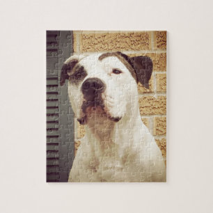 Pit Bull T-Bone Jigsaw Puzzle