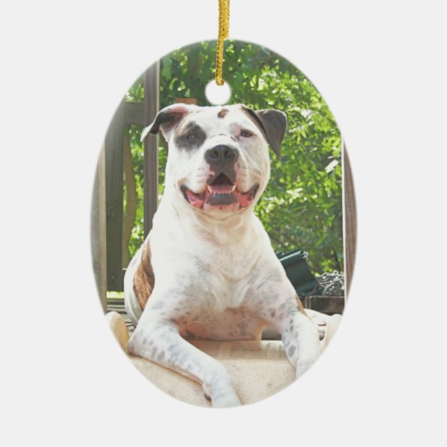 Pit Bull T-Bone's Tree House Ceramic Ornament (Front)