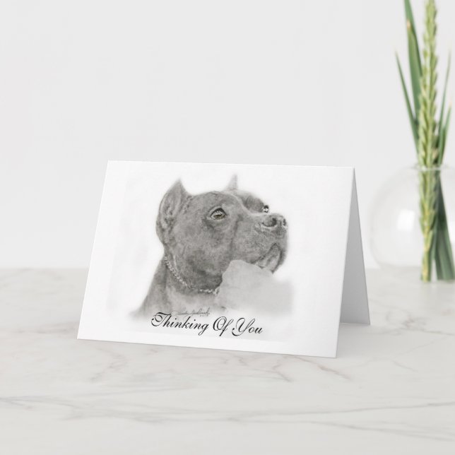 Pit Bull Thinking of You Card (Front)