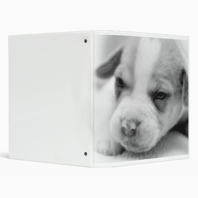 Pit Puppy Binder (Background)