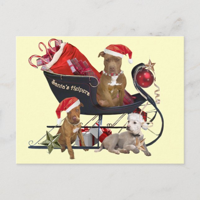 Pitbill Terrier Santa's Helpers Holiday Postcard (Front)