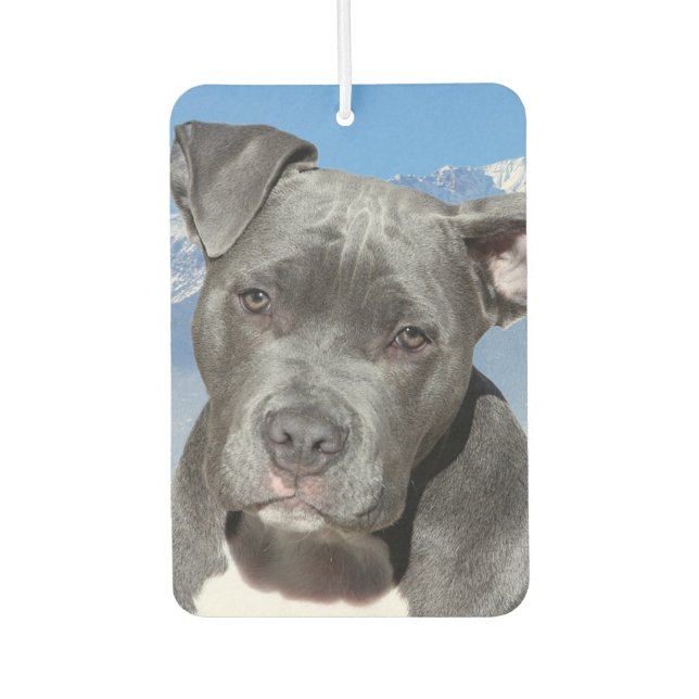 Pitbull Air Freshener (Front)