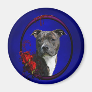 Pitbull and bloody roses magnet