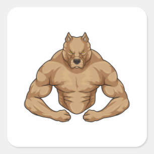 Pitbull as Bodybuilder extreme Square Sticker