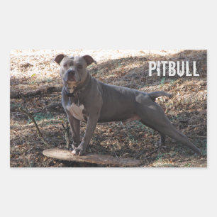 Pitbull avec Stickers Skateboard