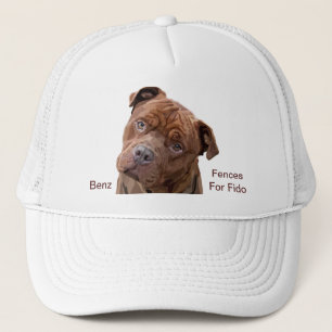 Pitbull "Benz" of Fences For Fido Cap