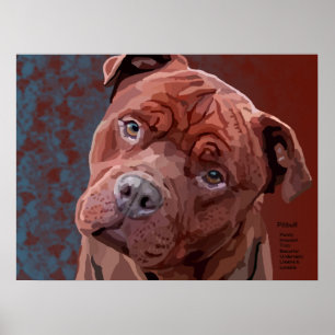 Pitbull "Benz" of Fences For Fido Poster