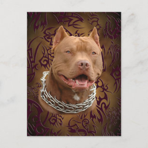 Pitbull brown tribal tattoo postcard