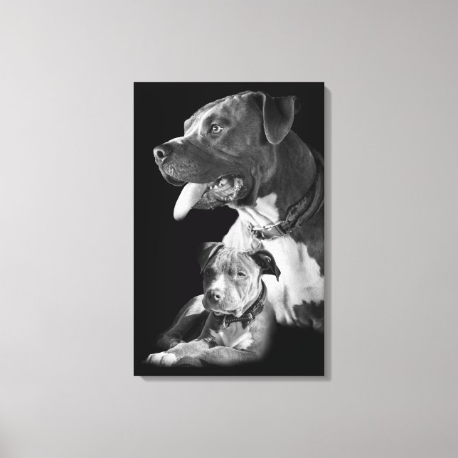 Pitbull Canvas Print (Front)