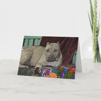 Pitbull Cartes de Noël Violet