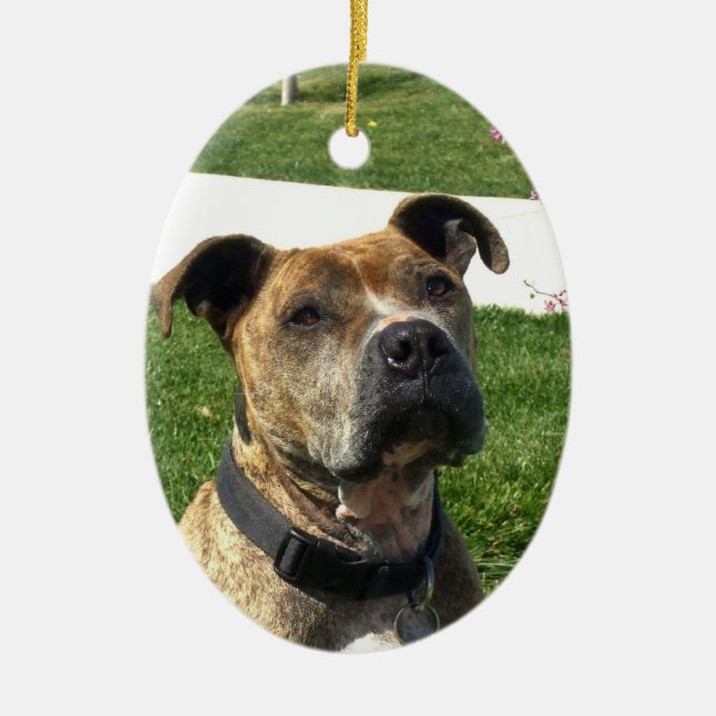 Pitbull Ceramic Ornament (Front)