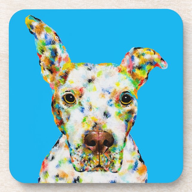 PITBULL COASTER (Front)
