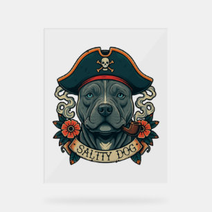 Pitbull de chien salé
