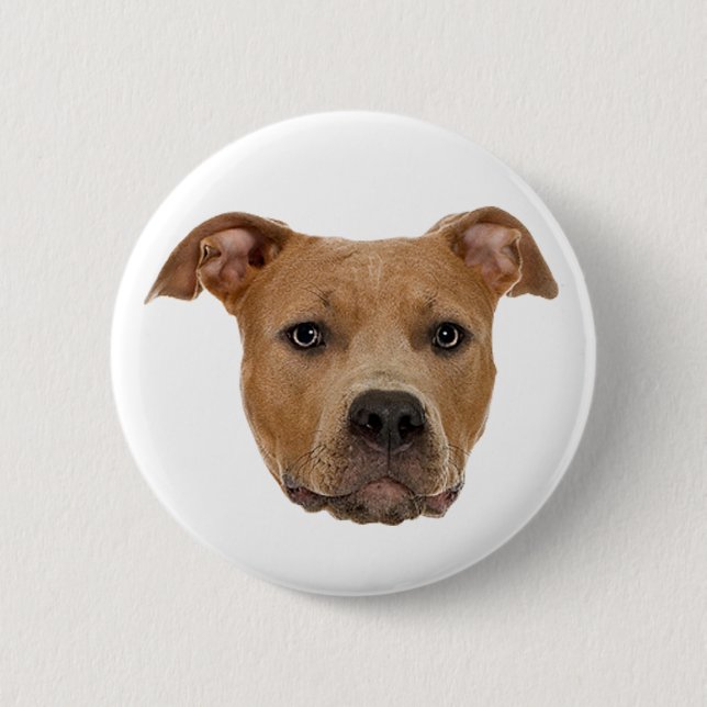 Pitbull Dog 2 Inch Round Button (Front)