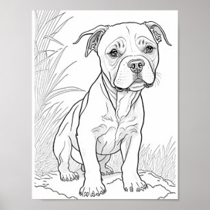Pitbull Dog Adult Colouring Poster