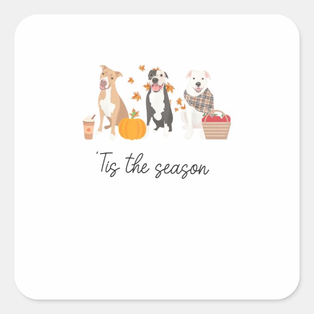 Pitbull Dog Autumn Fall Thanksgiving Tis The Seaso Square Sticker (Front)