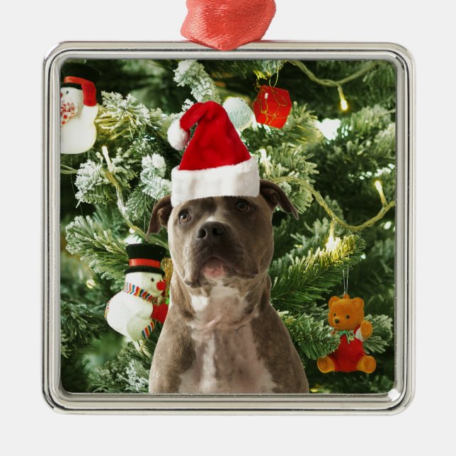 Pitbull Dog Christmas Tree Ornaments Snowman (Front)
